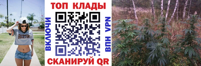 Галлюциногенные грибы Биробиджан
