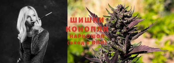 индика Белокуриха
