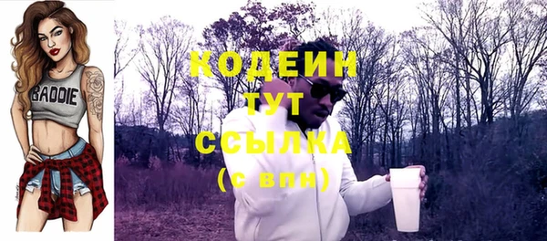 индика Белокуриха