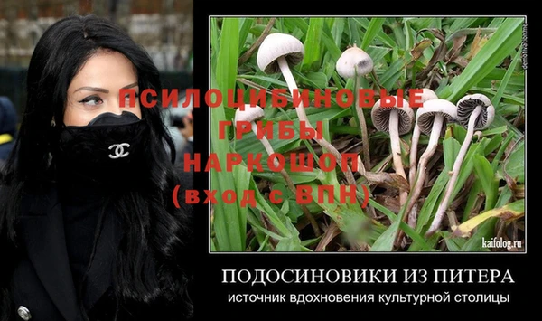 винт Беломорск