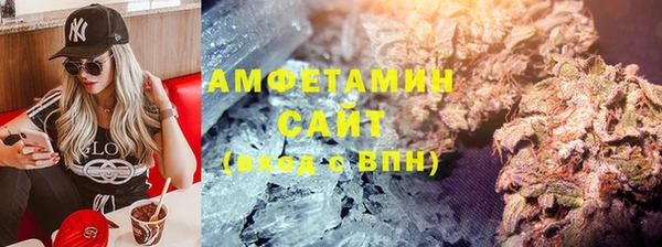 индика Белокуриха