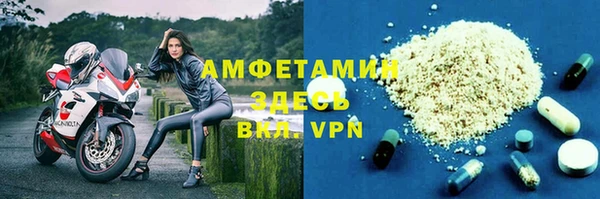 индика Белокуриха