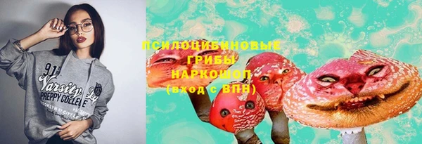 a pvp Белоозёрский