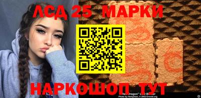 ГАЛЛЮЦИНОГЕННЫЕ ГРИБЫ Кингисепп